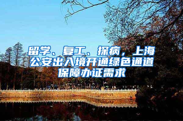 留学、复工、探病，上海公安出入境开通绿色通道保障办证需求
