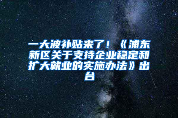 一大波补贴来了！《浦东新区关于支持企业稳定和扩大就业的实施办法》出台