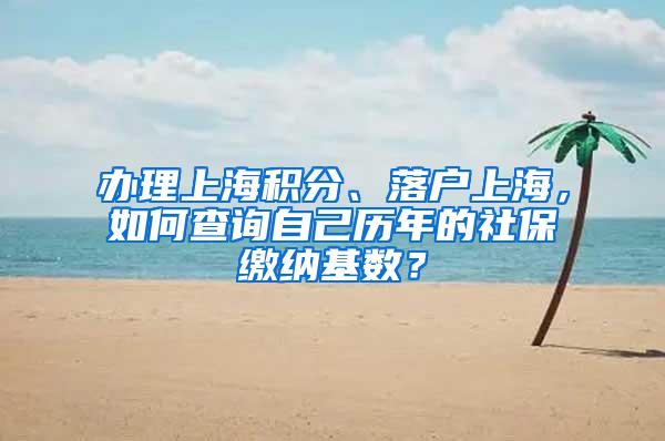 办理上海积分、落户上海，如何查询自己历年的社保缴纳基数？