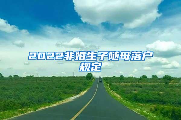 2022非婚生子随母落户规定