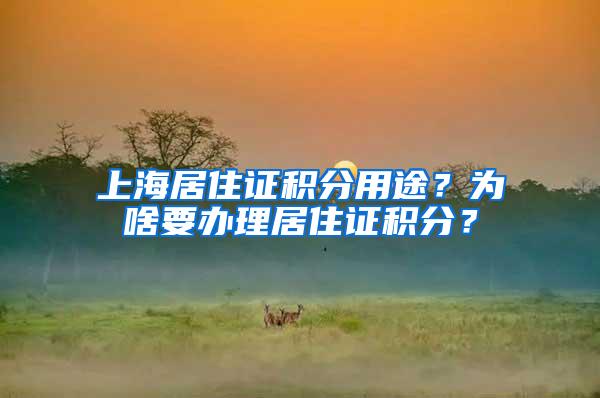 上海居住证积分用途？为啥要办理居住证积分？