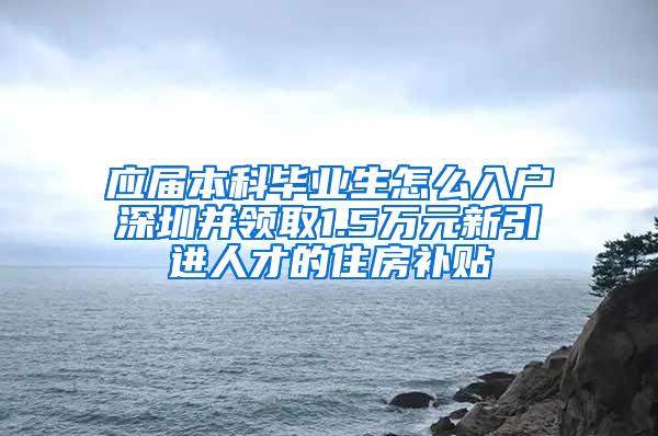 应届本科毕业生怎么入户深圳并领取1.5万元新引进人才的住房补贴