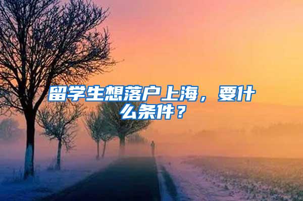 留学生想落户上海，要什么条件？