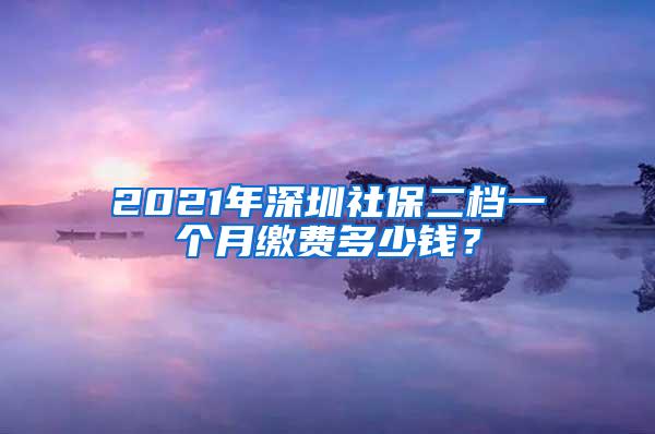 2021年深圳社保二档一个月缴费多少钱？