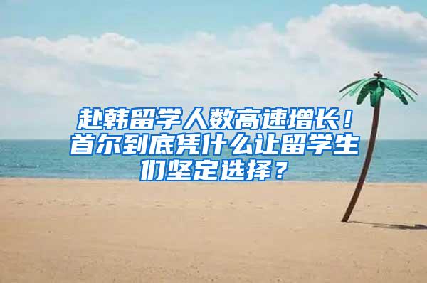 赴韩留学人数高速增长！首尔到底凭什么让留学生们坚定选择？