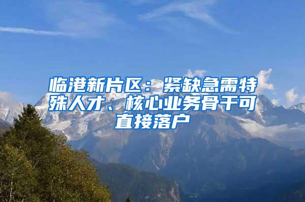 临港新片区：紧缺急需特殊人才、核心业务骨干可直接落户