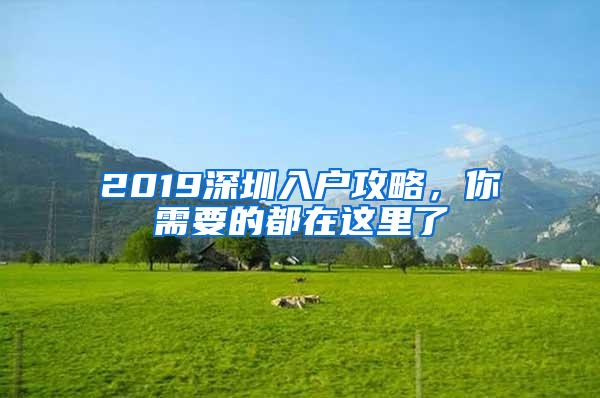 2019深圳入户攻略，你需要的都在这里了