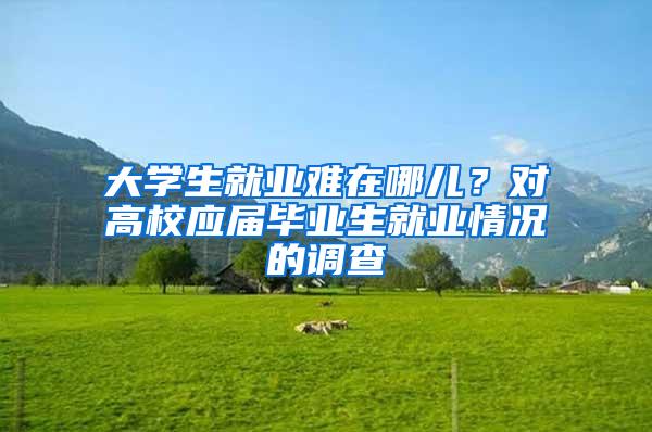 大学生就业难在哪儿？对高校应届毕业生就业情况的调查