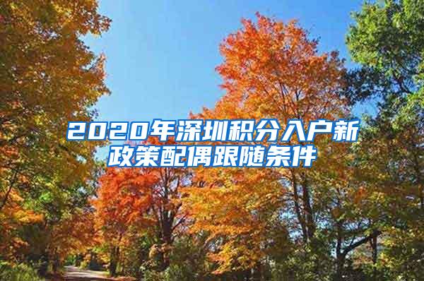 2020年深圳积分入户新政策配偶跟随条件