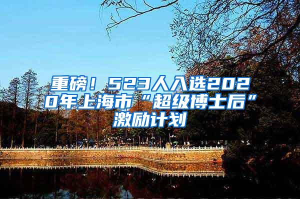重磅！523人入选2020年上海市“超级博士后”激励计划