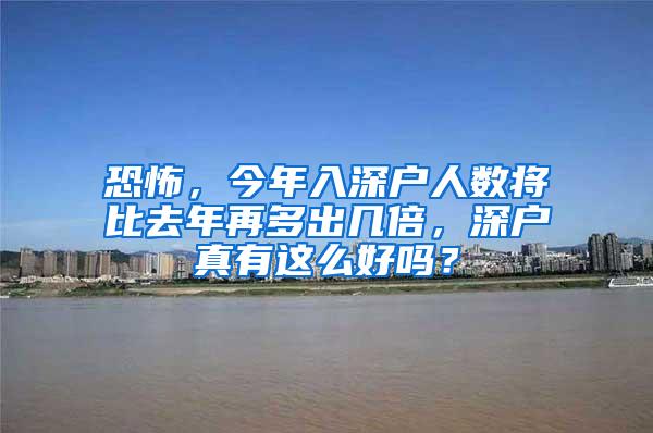 恐怖，今年入深户人数将比去年再多出几倍，深户真有这么好吗？