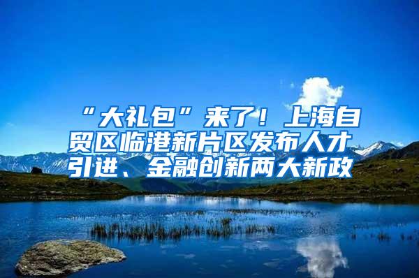 “大礼包”来了！上海自贸区临港新片区发布人才引进、金融创新两大新政