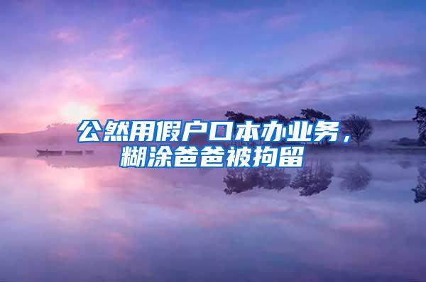 公然用假户口本办业务，糊涂爸爸被拘留