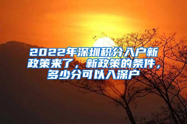 2022年深圳积分入户新政策来了，新政策的条件，多少分可以入深户