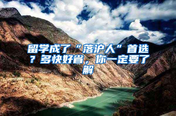 留学成了“落沪人”首选？多快好省，你一定要了解