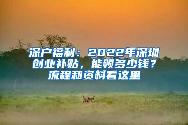 深户福利：2022年深圳创业补贴，能领多少钱？流程和资料看这里