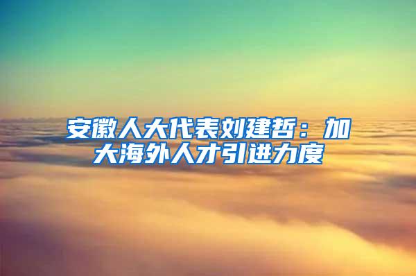 安徽人大代表刘建哲：加大海外人才引进力度