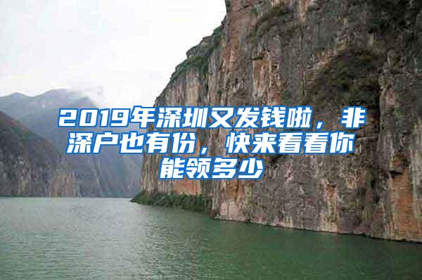 2019年深圳又发钱啦，非深户也有份，快来看看你能领多少