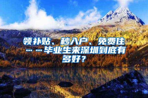 领补贴、秒入户、免费住……毕业生来深圳到底有多好？