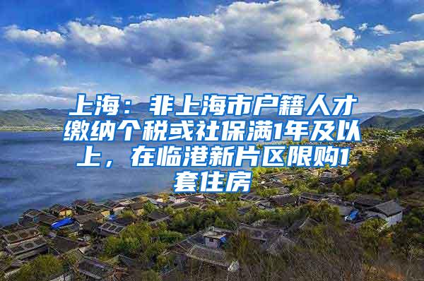 上海：非上海市户籍人才缴纳个税或社保满1年及以上，在临港新片区限购1套住房