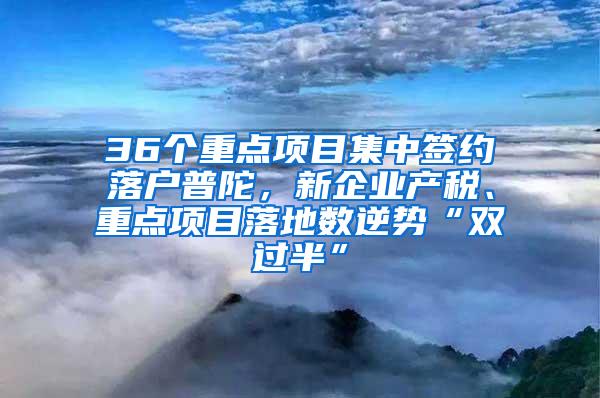 36个重点项目集中签约落户普陀，新企业产税、重点项目落地数逆势“双过半”