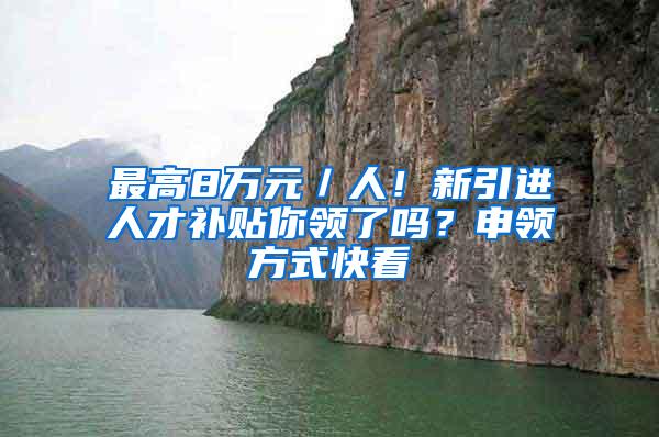 最高8万元／人！新引进人才补贴你领了吗？申领方式快看