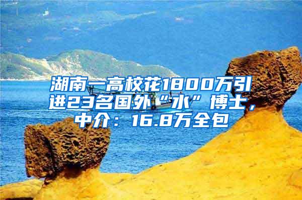 湖南一高校花1800万引进23名国外“水”博士，中介：16.8万全包