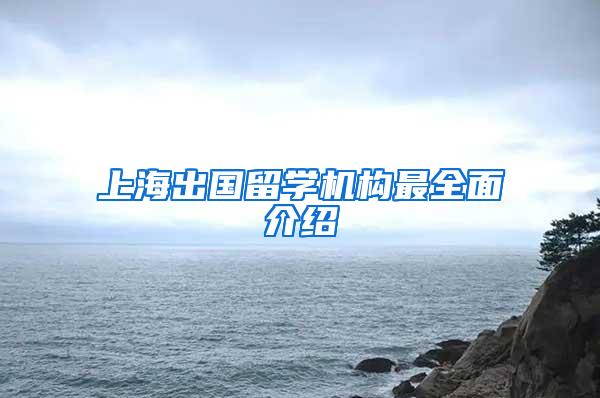 上海出国留学机构最全面介绍