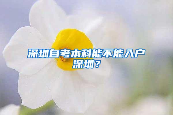 深圳自考本科能不能入户深圳？