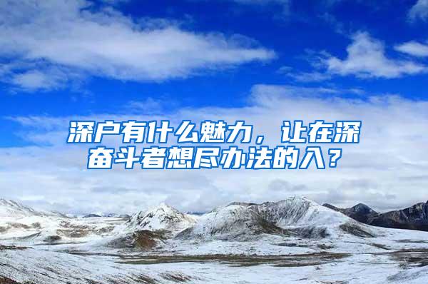 深户有什么魅力，让在深奋斗者想尽办法的入？