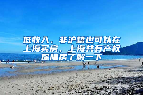 低收入、非沪籍也可以在上海买房，上海共有产权保障房了解一下