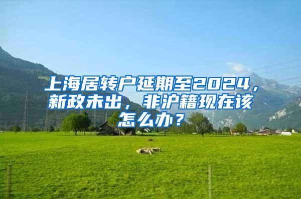 上海居转户延期至2024，新政未出，非沪籍现在该怎么办？