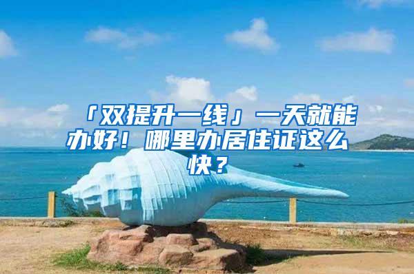 「双提升一线」一天就能办好！哪里办居住证这么快？