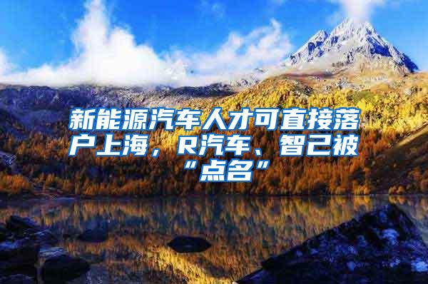 新能源汽车人才可直接落户上海，R汽车、智己被“点名”