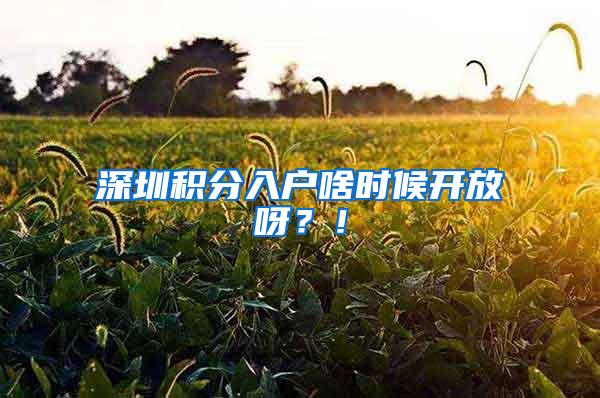 深圳积分入户啥时候开放呀？！