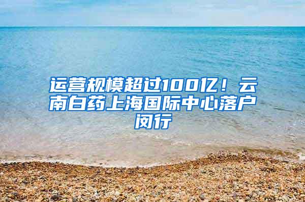 运营规模超过100亿！云南白药上海国际中心落户闵行