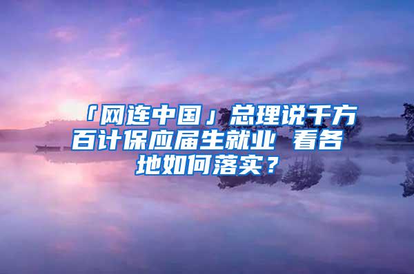 「网连中国」总理说千方百计保应届生就业 看各地如何落实？