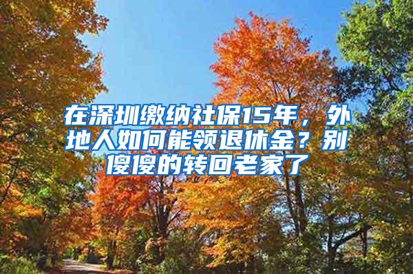 在深圳缴纳社保15年，外地人如何能领退休金？别傻傻的转回老家了
