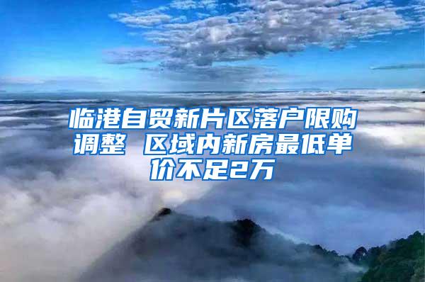 临港自贸新片区落户限购调整 区域内新房最低单价不足2万