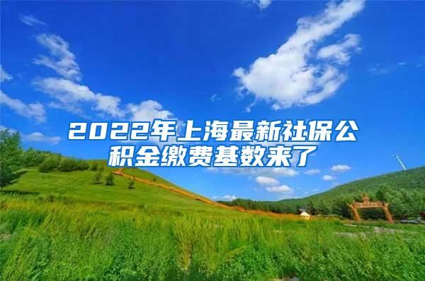 2022年上海最新社保公积金缴费基数来了