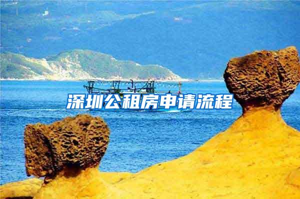 深圳公租房申请流程