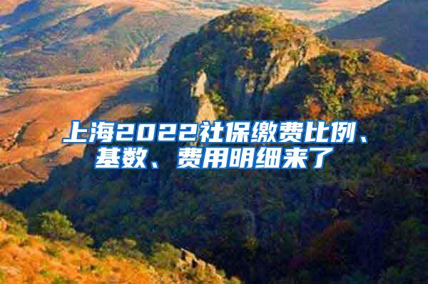 上海2022社保缴费比例、基数、费用明细来了