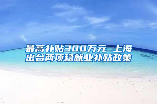 最高补贴300万元 上海出台两项稳就业补贴政策