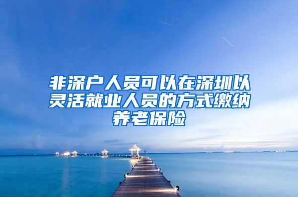 非深户人员可以在深圳以灵活就业人员的方式缴纳养老保险