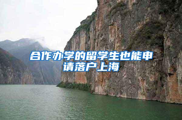 合作办学的留学生也能申请落户上海