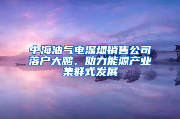 中海油气电深圳销售公司落户大鹏，助力能源产业集群式发展