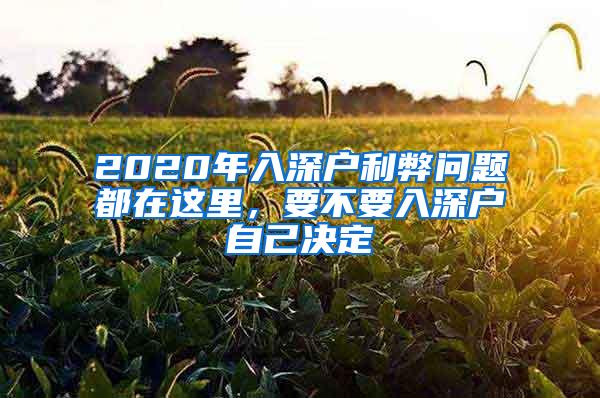 2020年入深户利弊问题都在这里，要不要入深户自己决定