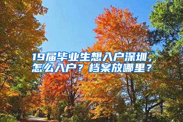 19届毕业生想入户深圳，怎么入户？档案放哪里？