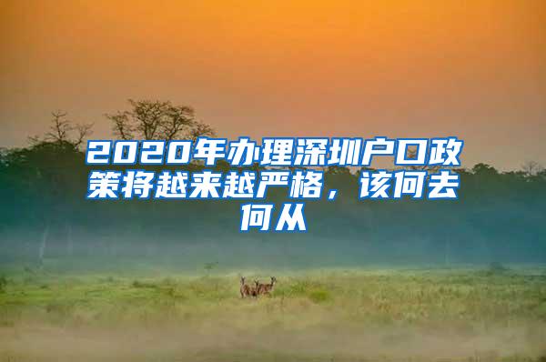 2020年办理深圳户口政策将越来越严格，该何去何从