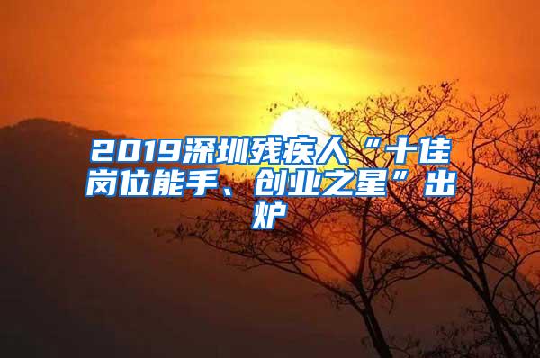 2019深圳残疾人“十佳岗位能手、创业之星”出炉